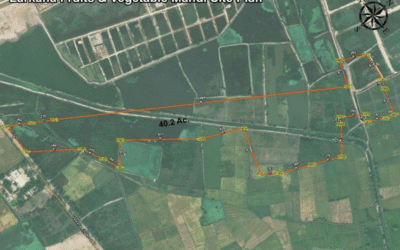 Establishment Of Fruit & Vegetable Mandi At Larkana Under Adp Scheme #3077